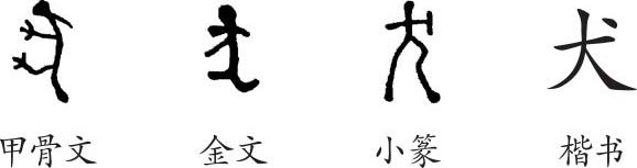 犬字的演变过程图片图片