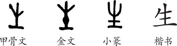 生字义生字的字形演变小篆隶书楷书写法生