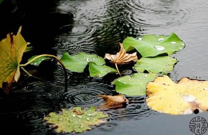 况周颐 齐天乐 秋雨 凄清愁绪词作 元明清诗词 品诗文网